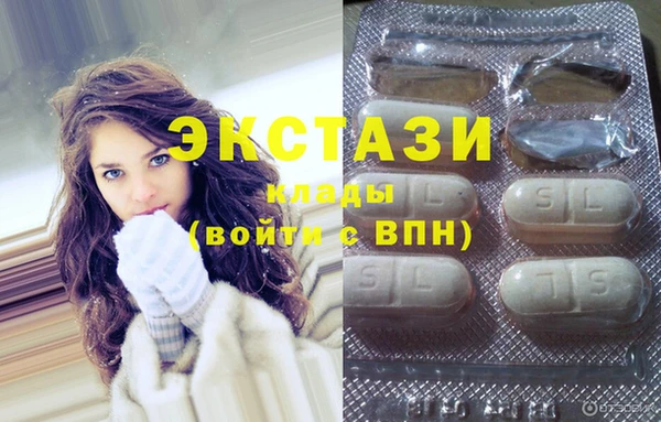 дживик Богородск