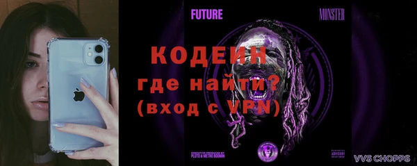 дживик Богородск