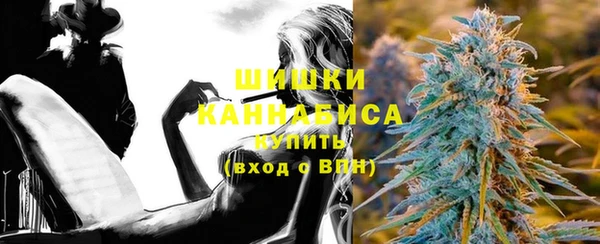 дживик Богородск