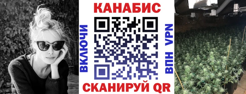 Конопля Bruce Banner  Коркино 