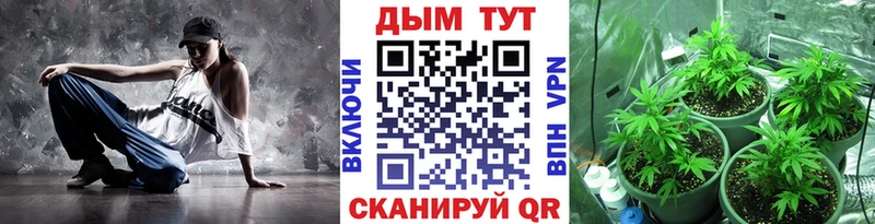 Бошки марихуана гибрид Коркино